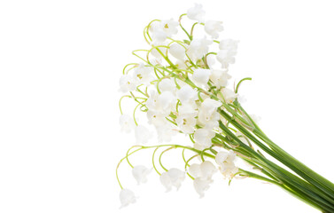 bouquet of lilies of the valley isolated