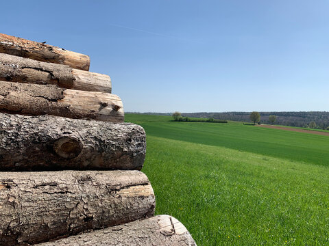 A woodpile in the foreground outdoors on a green lawn in spring in Germany. The background is a green lush meadow and a forest in the distance, and a blue sky