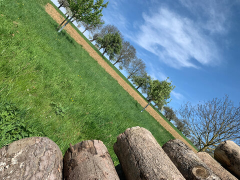 A woodpile in the foreground outdoors on a green lawn in spring in Germany. Against the background are fruit trees in bloom and blue sky. Horizon along the diagonal