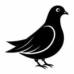 dove silhouette vector illustration