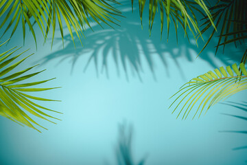 Fototapeta na wymiar background with palm shadow