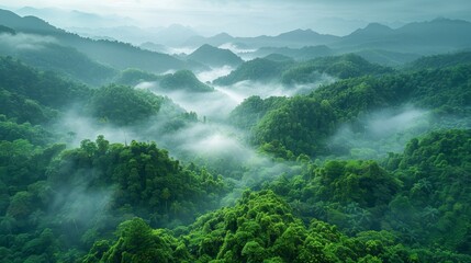 Enchanting Misty Dawn in a Lush Tropical Rainforest Paradise Generative AI