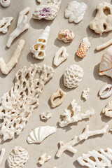 Trend pattern from closeup seashells, coral on sandy tones background. Minimal photo at sunlight....