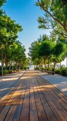 a walkway with benches and trees