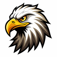 American bald eagle head vector illustration