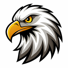American bald eagle head vector illustration