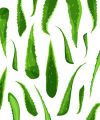 Pattern of Aloe Vera plant isolated on white background. Alternative medicine. Wellness and beauty...