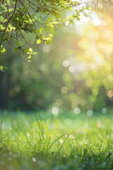 Close Up of Grass Field With Trees in Background