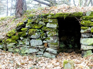 Aufnahme einer Steinhütte Höhle im Wald mit grünem Moos bewachsen