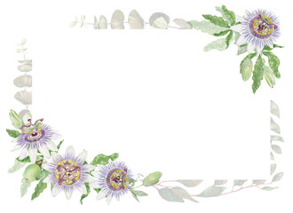 Passion flower watercolor horizontal rectangular isolated frame. Purple and green hand painted Passiflora floral illustration with flower and bud for card and invitation template.