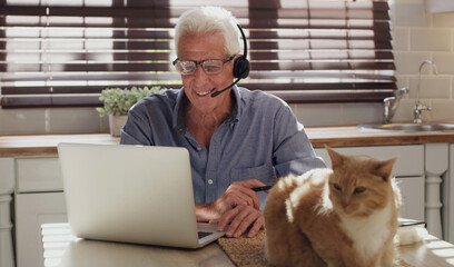 Laptop, cat and man with headset in home with online consultation for human resources. Technology,...