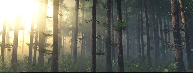 Forest in the morning in a fog in the sun, trees in a haze of light, glowing fog among the trees, 3D rendering - 793054963