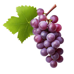 A branch of grapes closeup on a white background