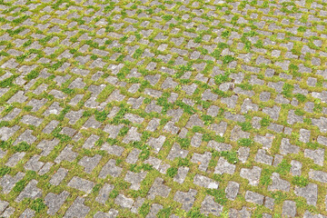 Concrete flooring blocks with grass permeable to rain water as required by the building laws used for sidewalks and parking areas - permeable interlocking concrete pavers - PICP