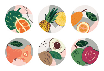 Tropical fruits. Exotic plant food. Fresh juicy products. Ripe pineapple. Pear and longan. Delicious citron. Half and whole kiwano. Social media highlight. Circle banners vector set