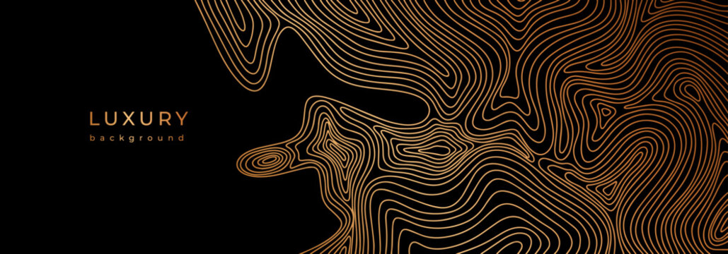 Line topography map. Wavy golden design. Luxury banner with wave pattern. Flowing liquid texture. Bronze curves. Black background with gold lines. Abstract geometric dynamical rippled surface