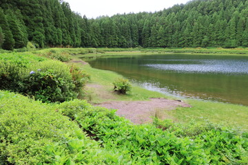 Volcanic lake in Sao Miguel island, Azores