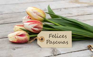 Greeting card with red, yellow and white tulips and spanish text: Happy Easter