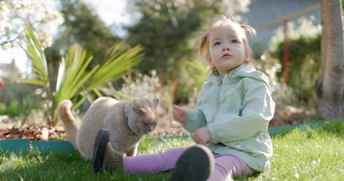 Cute child girl sitting on lawn and feeding cats in spring backyard garden