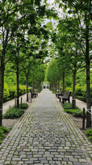 A long stone slate path with trees on both sides, green plants and benches at the end of each tree line, white background wall in front of it