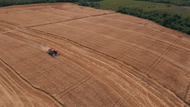 massey ferguson wheat harvest drone view