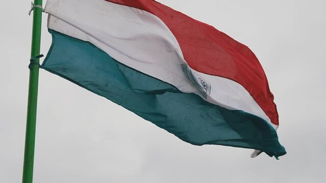 paraguayan flag waving 