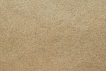 A sheet of brown fibrous recycled cardboard texture as background