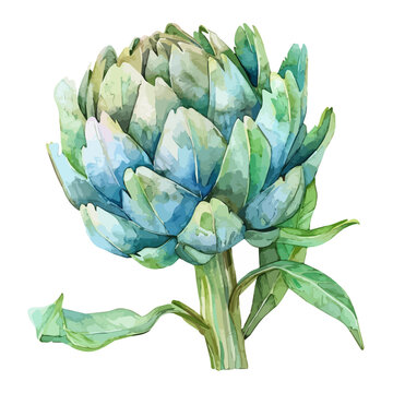 Watercolor clipart vector of a artichoke plant, isolated on a white background, artichoke vector, Illustration painting, Graphic logo, drawing design art