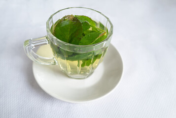 Mint tea leaves in hot water in a glass mug with a handle on a white saucer. The table has a white paper tablecloth. - 793085560
