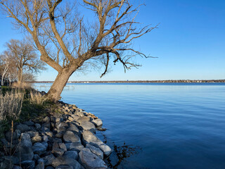 Fototapeta na wymiar Day by the lake in Madison Wisconsin