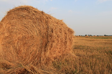a haystack in a field at sunset