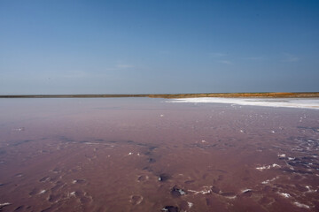 Mekletin pink salt lake on a sunny spring day in the steppe of Kalmykia