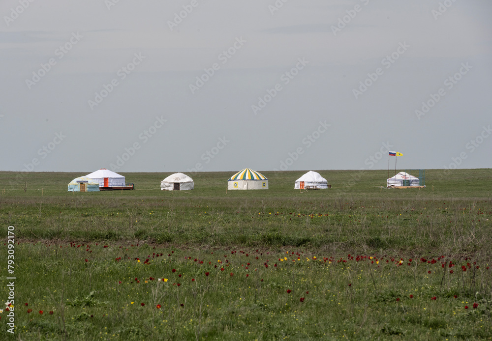 Wall mural beautiful landscapes of the blooming kalmyk steppe on a spring day