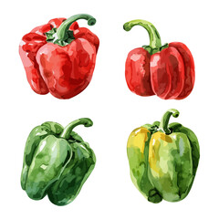 Watercolor vector of set bell pepper, isolated on a white background, design art, drawing clipart, Illustration painting, Graphic logo, bell pepper vector 