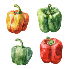 Watercolor Vector painting of bell pepper , isolated on a white background, bell pepper vector, bell pepper clipart, bell pepper art, bell pepper painting, bell pepper Graphic, drawing clipart.