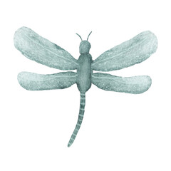 Hand drawn watercolor dragonfly isolated on white background.  Cute cartoon insect.