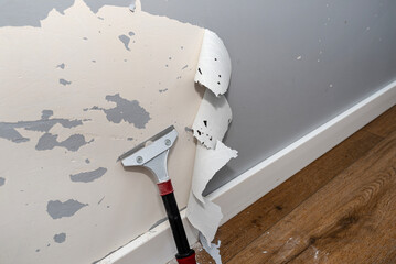 Removing silicone paint from a wall damaged by dog claws using a paint and adhesives scraper.
