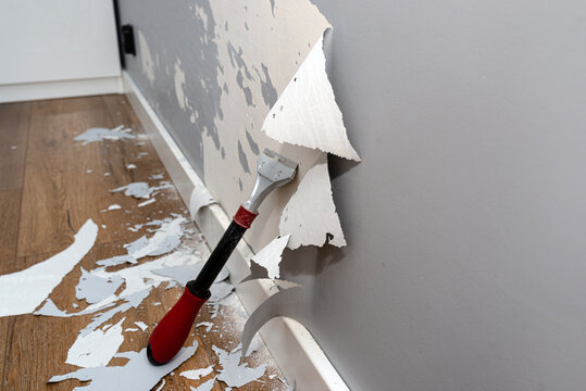 Removing silicone paint from a wall damaged by dog claws using a paint and adhesives scraper.