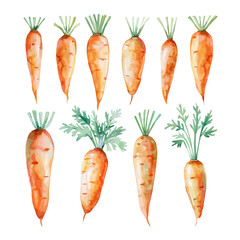 Watercolor clipart vector of a carrot, isolated on a white background, carrot vector, Illustration painting, Graphic logo, drawing design art