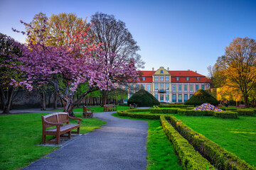 Flowering trees in a spring public park, Gdansk Oliwa. Poland - obrazy, fototapety, plakaty