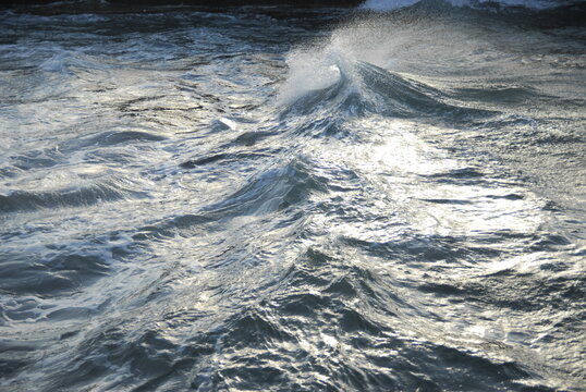 Mare