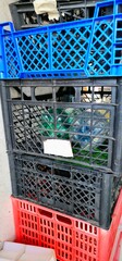 Recyclable Plastic Crates with Bottles Inside