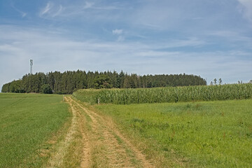 Dirtroad between meadows and corn fields in Ardennes, Wallonia, Belgium 