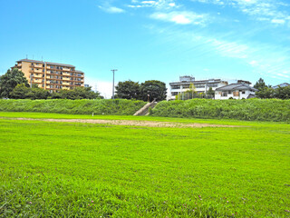 Obraz premium 多摩川の河川敷。広場。 