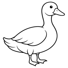 illustration of a duck