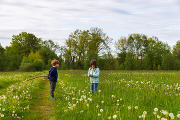 A happy boy and girl play merrily in a green meadow with dandelions, frolic and run. Active...