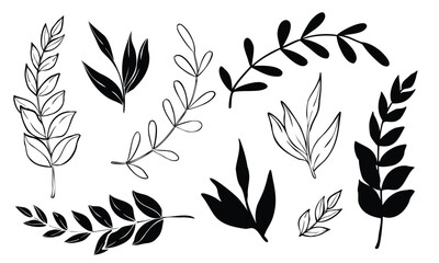 Vector plants and branches with leaves set. Hand drawn botanical illustration painted by black inks on isolated background in outline style. Silhouette of nature elements for icon or logo. Line art.