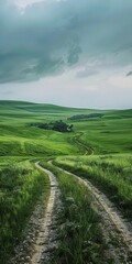 Fototapeta na wymiar Countryside dirt road through rolling green hills