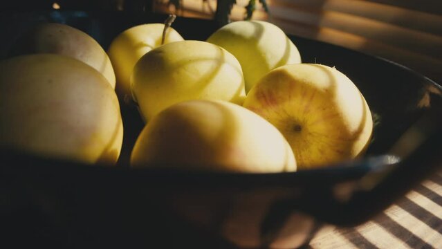 Yellow apples on a metal plate with stripes of sunlight coming through window blinds. Cinematic slow motion studio shot. Sunset, golden hour moody interior. Still nature. High quality 4k footage