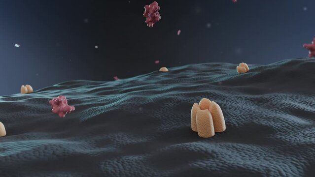 3D rendered footage of cell surface with hormones